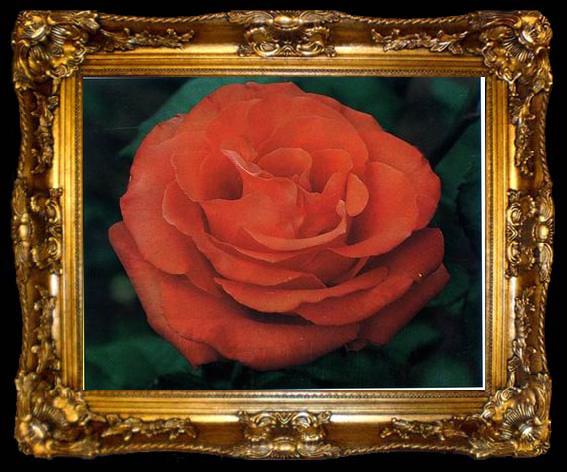 framed  unknow artist Still life floral, all kinds of reality flowers oil painting  229, ta009-2